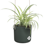 b.for swing 18cm blad groen